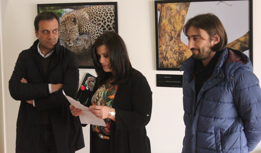 exposição pedro rego
