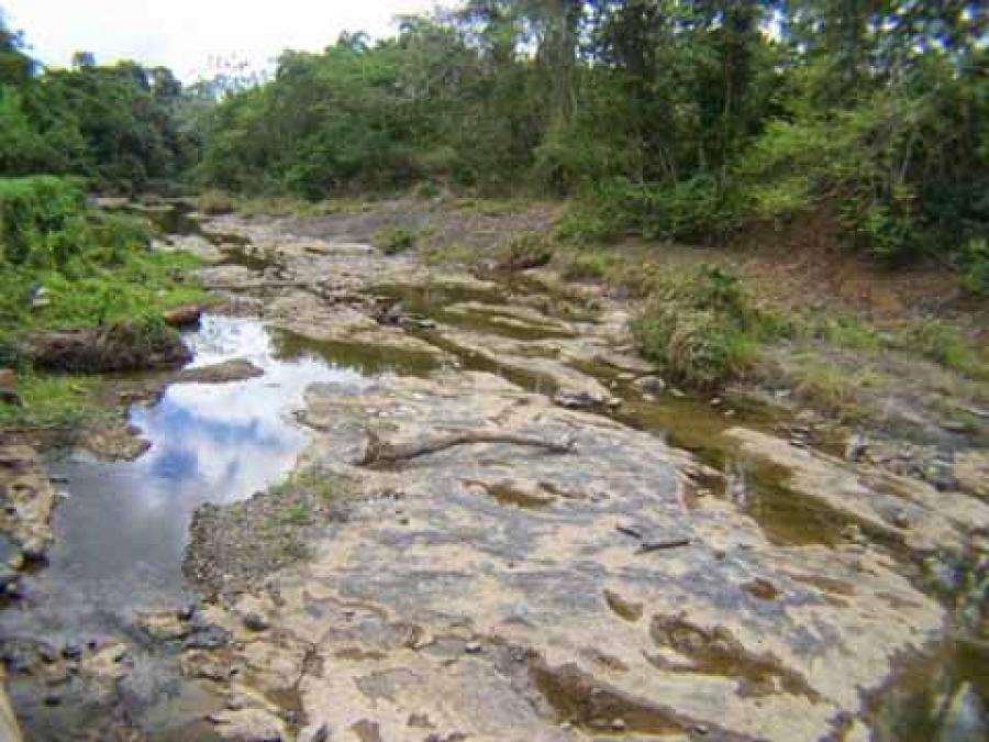 Direitos Reservados